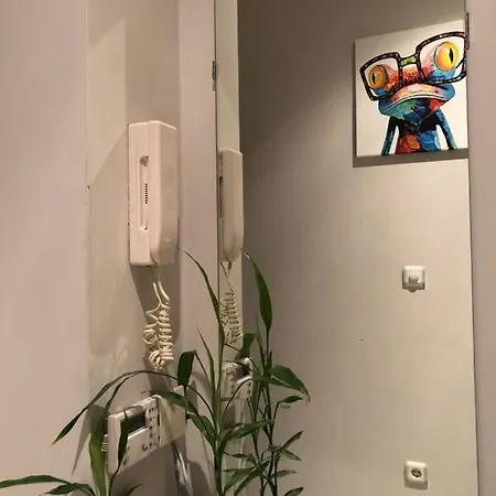 Apartment Center Lux *